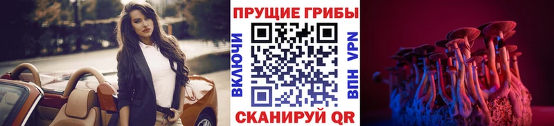 дарнет шоп Заозёрск Псилоцибиновые грибы MAGIC MUSHROOMS